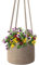 Flexzion Makramee Blumenampel bis zu 17,8cm Pflanzen, Hängende Blumentopf mit 50,8cm Baumwollseil, Hängeampel Halter Aufhänger Boho Deko Wanddekoration für Innen Außen Balkon, Braun