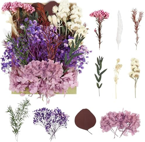 Fleurs Séchées et Pressées pour Artisanat, Bricolage, Arts, Résine, Scrapbooking, Fabrication de Bijoux, Décorations Florales (Violet)