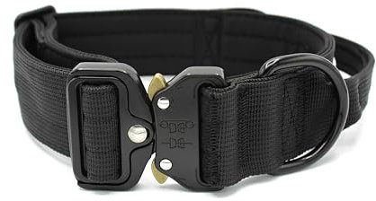 Paulde Hundehalsband mit Griff und Metall-Schnalle, Verstellbar, Hochwertig und Strapazierfähig, Ideal für Training und Alltag (Schwarz, M: 35-45 cm, Breite 3,8 cm)