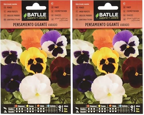 Batlle – Semi di Fiori – Viola del Pensiero Gigante in miscuglio (Confezione da 2)