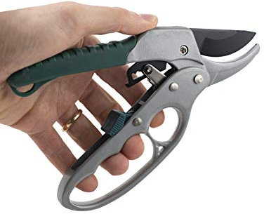 VIRSUS Forbici Cesoie da Potatura Giardino a Cricchetto, Forbice a Incudine in Acciaio Inox, Lunghezza 20 cm, Professionale da Giardinaggio con Manico Inferiore ad Anello