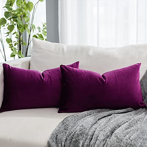 QUAFOO Dekorative Lendenwirbel-Kissenbezüge aus Samt, mit Reißverschluss, luxuriös, weich, rechteckig, für Sofa, Couch, Bett, Wohnzimmer, Lila, 2 Stück