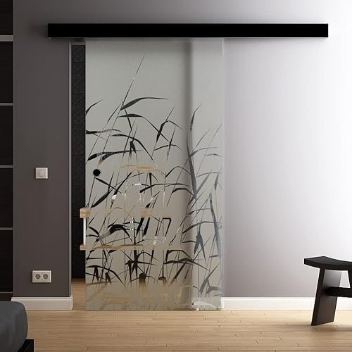 SoftClose-Glas-Schiebetür 650x2050 mm Schilf Gräser Sadora Slimline-System komplett Laufschiene in Schwarz und Muschelgriffen offen Schiebetür aus Glas für Innenbereich