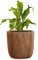 Pflanzwerk® Pot de Fleur Fibre de Verre Cup Ø34cm Rouille Brun Jardinière antigel* *Protection UV* *Qualité européenne*
