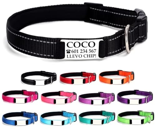 Ibera gifts - Collar Perro Personalizado con Nombre para Mascotas Pequeñas, Reflectante, Ajustable De 25 a 40 cm, Grabado Láser, Seguro y Cómodo (Negro, S pequeño)