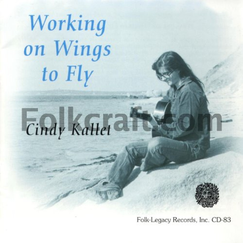 Working on Wings to Fly