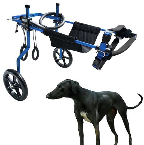 KAJILE Verstellbarer 2-Rad-Hunderollstuhl, XL-1 Größe für behinderte Hund Hinterbeine Rehabilitation, geeignete Höhe 44-60cm, Breite 21-28cm, Länge 30-40cm