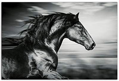 Startonight Impression Sur Verre Acrylique Tableau - Beau Cheval Noir - Moderne Animaux Image pour la Décoration de la Maison 60 x 90 cm