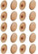 cyclingcolors 20x Cache vis Plastique Marron pin cruciforme pozidrive T2 Capuchon Protection Bouchon Meuble