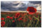 Puzzle 1000 Teile，Rote Mohnblumen，Papier Adult Toys Dekompressionsspiel（38x26cm）-G36