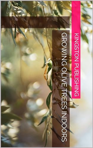 Growing Olive Trees Indoors (Fruit Trees for Apartments)