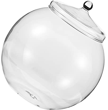 POPETPOP Vaso Per Piante Grasse Fatto A Mano in Muschio Coperchio Per Vaso Da Tavolo Decorazione Per La Scrivania