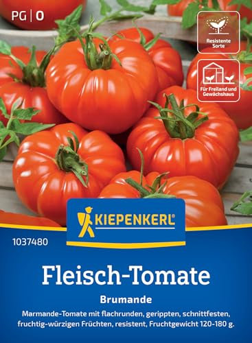 Kiepenkerl Fleisch-Tomatensamen Brumande 1037480 - Gemüsesamen für eine resistente Tomate mit einem Fruchtgewicht von 120 bis 180 g und Inhalt für 7 Pflanzen - Saatgut