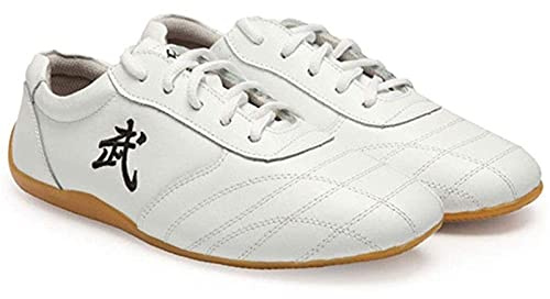 Taekwondo skor, ventilerande halkfria Taekwondo Kung Fu Taichi lätta skor för män och kvinnor (färg: vit, storlek: 42 EU)