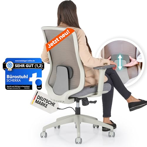 SCHEKKA® Bürostuhl Ergonomisch Testsieger - Besonders individuell Einstellbarer Schreibtischstuhl mit Lordosenstütze, 3D Armlehnen & atmungsaktives Mesh - Bürostuhl 150 kg (Hellgrau/Grau)