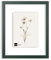 Bildershop-24 Double vitrage - Cadre photo Paris Vert Foncé avec Verre Acrylique 40x60 cm