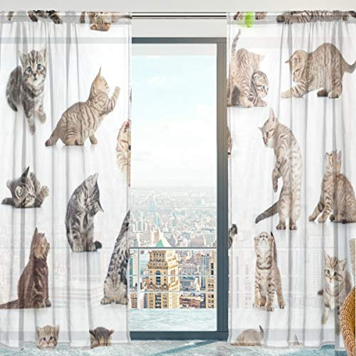 Mnsruu Yibaihe Fenster Vorhänge, Gardinen Katze Muster Modern Voile Platten Tüll Gardinen 198 cm Lang für Wohnzimmer Schlafzimmer Fenster Decor Set von 2