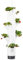 GUSTA GARDEN Sissi Strawberry Erdbeerbaum Hanging Weiß - Hängeampel System für Erdbeeren - für Garten & Balkon - 77 cm Höhe - 10L Erdvolumen