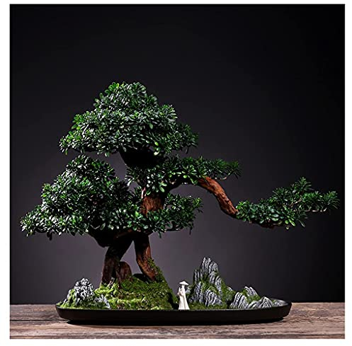 TEmkin Künstlicher Bonsai-Baum, Wohnzimmer, künstlicher Baum, Bonsai Zen, künstlicher Baum, Topfpflanze, Steingarten, weißer Sand, Moos und Totes Holz, Landschaft, künstlerische