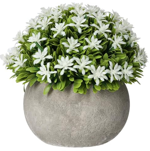Sherveer Kunstpflanze im Topf Jasmin Buchsbaum (1 Stück) B:13cm x H:13cm künstliche Pflanze im Steinoptik Tontopf - Kunstblumen Pflegeleichte Deko für Gastro, Büro, Hotel