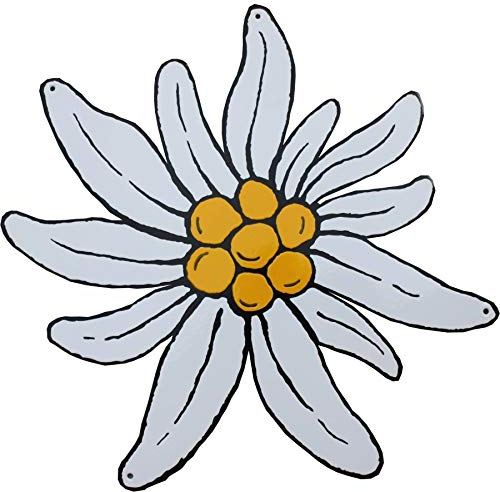 Edelweiß Emaille Schild Quadratisch 47 x 47 cm Weiß Alpine Wandbild Dekoration Ungerahmt Poliert 1 Count