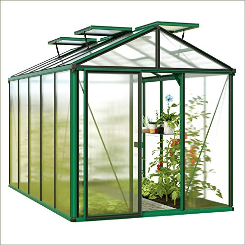 GFP Serre Diamas 22 Premium 235x311 cm avec Cadre de Fondation intégré Panneaux Double paroi 16 mm, Couleur Vert Mousse