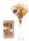 Kunstharz.Art Echte & natürliche getrocknete Blumen als Geschenk zum Muttertag & Ostern, zum Basteln mit Resin oder Osterdekoration, Blüten und Trockenblumen Set, Gastgeschenk für Hochzeit (Natur)