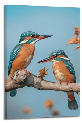 GELS Tierposter Schöne Eisvogel 2, dekoratives Gemälde, Leinwand-Kunstbild, 30 x 45 cm