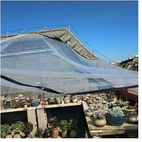 Tarpaulin Heavy Duty,Outdoor Curtains, Side Panels with Grommets, Partition Screen, Garden Gazebos Curtain,For Multi-Purpose Usage/Clear/1.2X4M/3.94X13.12Ft