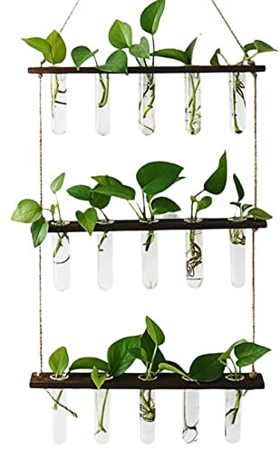 Propagation pour Plants, Vase Tube a Essai Verre Mural avec Support en Bois, Tubes Stations Propagation Plants à Suspendre à 3 Niveaux, Terrarium Plants en Verre pour décor