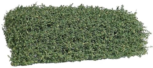 Busch Bodendecker Sträuchermatte Spätsommer | 120x80x35mm | Anlagenbau #3599