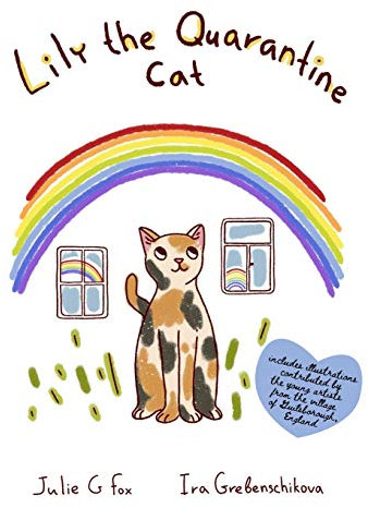 Lily the Quarantine Cat