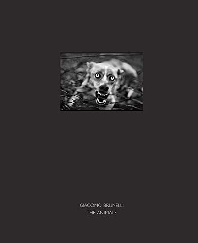 dewi lewis publishing
