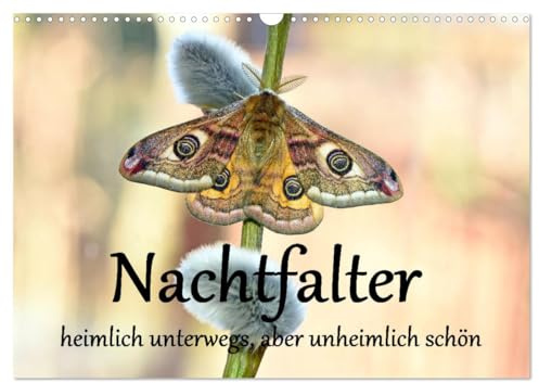 Nachtfalter - heimlich unterwegs, aber unheimlich schön (Wandkalender 2026 DIN A3 quer), CALVENDO Monatskalender: Makroaufnahmen von wunderschönen Nachtfaltern (CALVENDO Tiere)