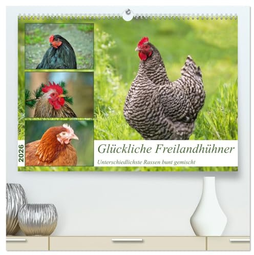Glückliche Freilandhühner (hochwertiger Premium Wandkalender 2026 DIN A2 quer), Kunstdruck in Hochglanz: Verschiedenste Hühnerrassen in der Freilandhaltung (CALVENDO Tiere)