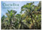Costa Rica - Lebensfreude pur (Wandkalender 2025 DIN A2 quer), CALVENDO Monatskalender