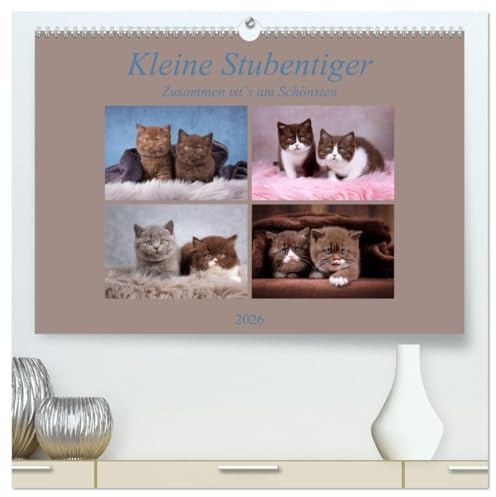 Kleine Stubenstiger (hochwertiger Premium Wandkalender 2026 DIN A2 quer), Kunstdruck in Hochglanz: Zusammen ist`s am Schönsten (CALVENDO Tiere)