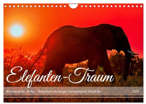 Elefanten-Traum - Herzenssache Afrika (Wandkalender 2026 DIN A4 quer), CALVENDO Monatskalender: Dickhäuter im Kruger Nationalpark Südafrika (CALVENDO Tiere)