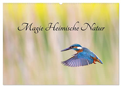 Magie Heimische Natur (Wandkalender 2026 DIN A2 quer), CALVENDO Monatskalender: Ausdrucksstarke Fotomotive aus unserer heimischen Natur (CALVENDO Natur)