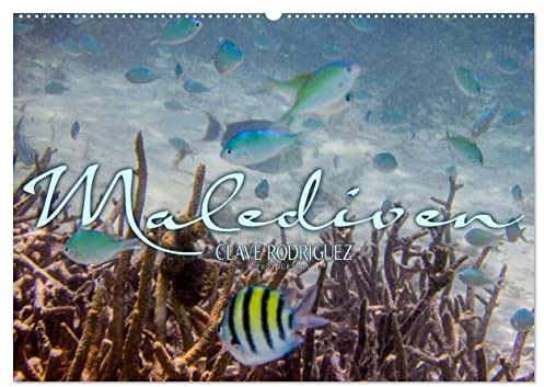Unterwasserwelt der Malediven III (Wandkalender 2026 DIN A2 quer), CALVENDO Monatskalender: Die vielfältige und faszinierende Unterwasserwelt der Malediven. (CALVENDO Natur)