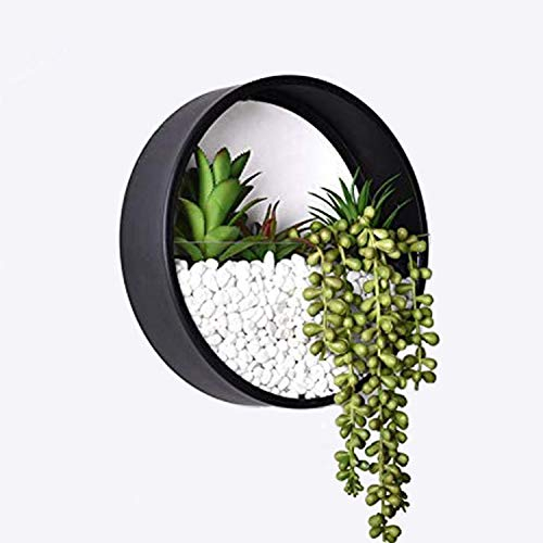 Murale Planteur,DéCoration Mur Pots à Suspendre MéTal Ronde Pots De Fleurs à Suspendu Verre Mural JardinièRe Clair Vase pour Artificielles Fleur,Cactus,Succulentes,DéCor pour Salon Salle à Manger