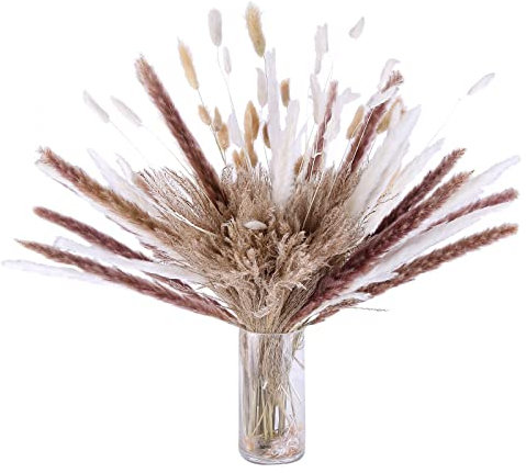 URFEDA Pampasgras Trockenblumen Deko,120 Stück Natürliche Braun Weiß Pampasgras Flauschige Wedel, Lagurus und Schilfblume Getrocknete Blumen für Boho Deko Wohnzimmer Schlafzimmer Gartenhaus Hochzeit
