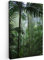 MuchoWow© Leinwand Bilder Klein 20x30 cm Mini Wanddeko Wohnzimmer Aesthetic Room Decor Deko Zimmer Wandbilder Modern Fotogeschenke Regenwald - Dschungel - Bäume - Pflanzen - Natur - Grün