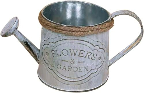 pistro 2 regaderas de metal rústico, jarrón decorativo de hierro, maceta de jardín vintage, decoración de oficina de campo francés, jarrón para flores frescas y secas