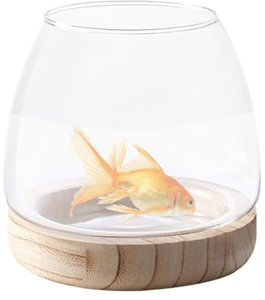 Nevalerra Vase - Aquarium écologique avec Support en Bois Transparent USA