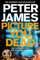 Picture You Dead: Roy Grace Returns to Solve a Nerve-Shattering Case (Roy Grace, 18)