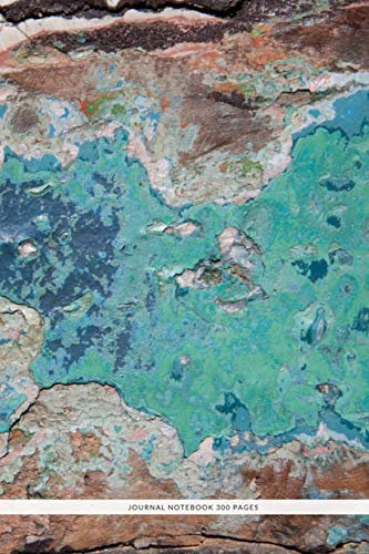 Journal Notebook 300 Pages: Blank Lined Journal