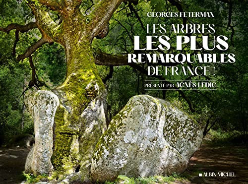 Les Arbres les plus remarquables de France