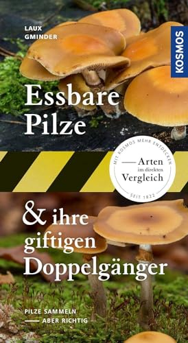 Essbare Pilze und ihre giftigen Doppelgänger: Pilze sammeln - aber richtig