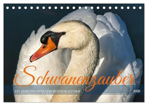 Schwanenzauber (Tischkalender 2026 DIN A5 quer), CALVENDO Monatskalender: Ein liebenswerter Geburtstagskalender (CALVENDO Tiere)